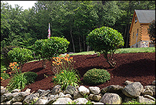 Landscapes in Southern NH